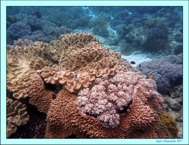 2012 - 07 - Apoh Island 30